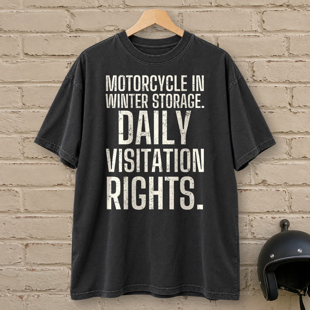 Daily Visitation Rights Premium T-Shirt - Black - brick