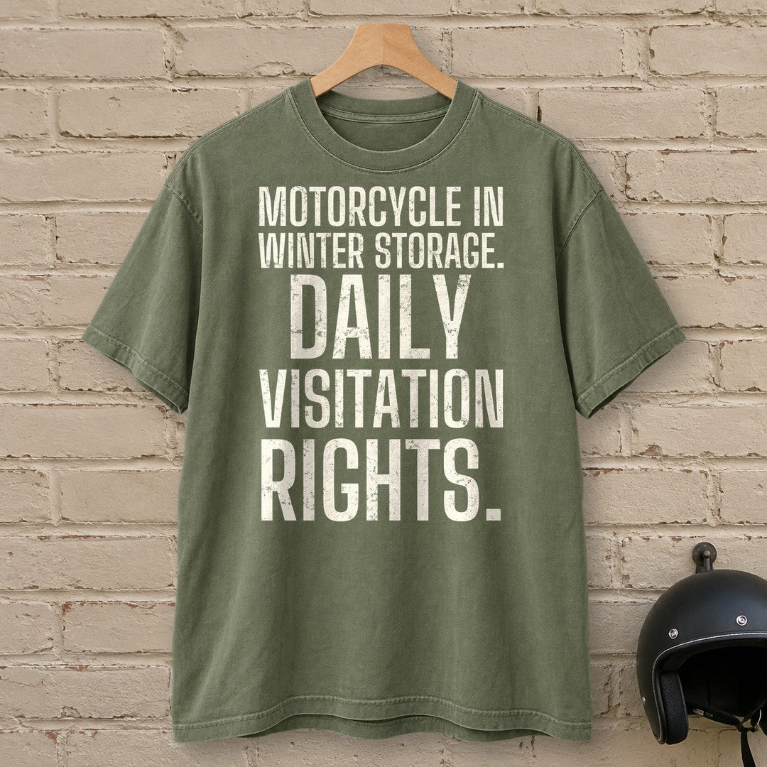 Daily Visitation Rights Premium T-Shirt - Moss - brick