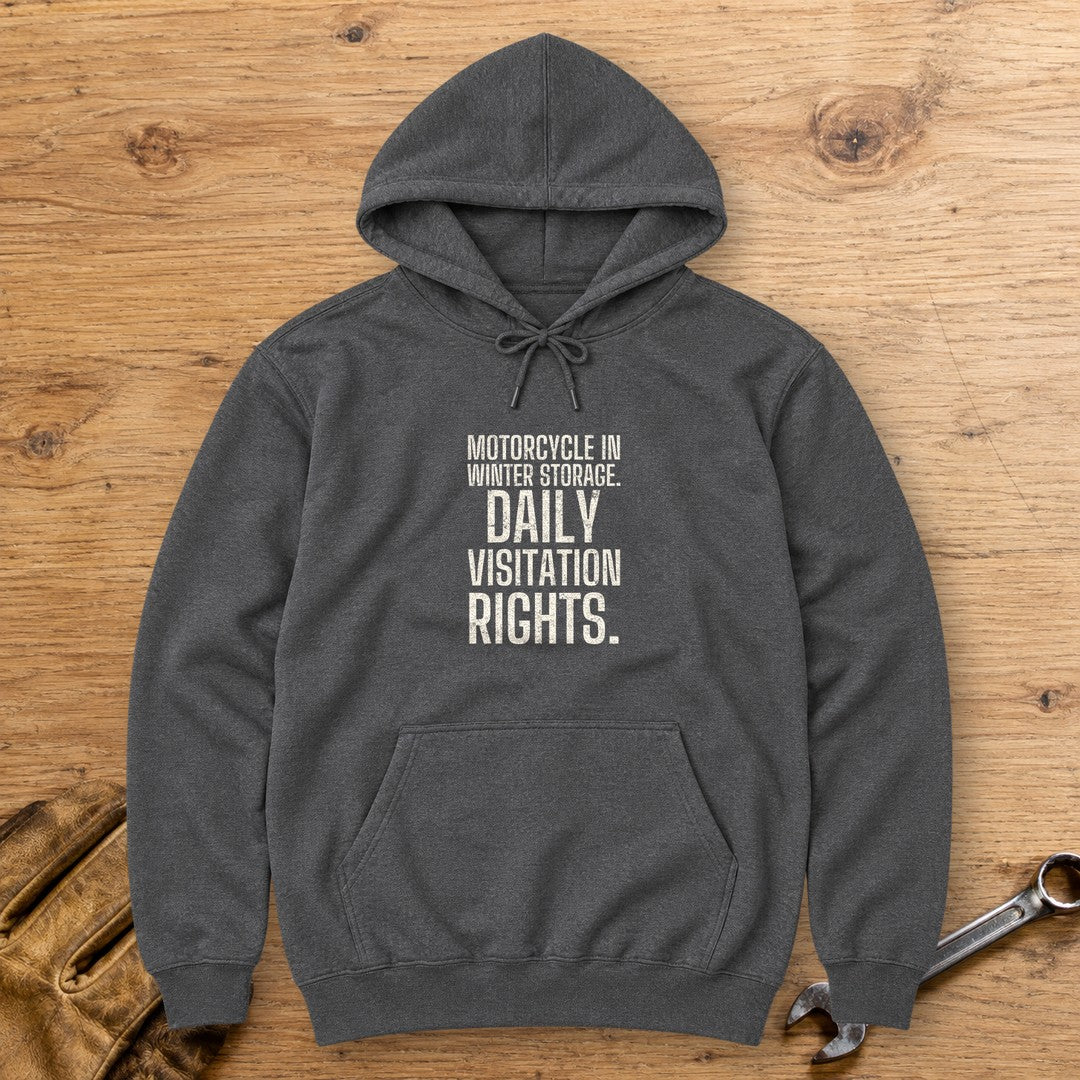 Daily Visitation Rights Hoodie - Dark Heather - bench