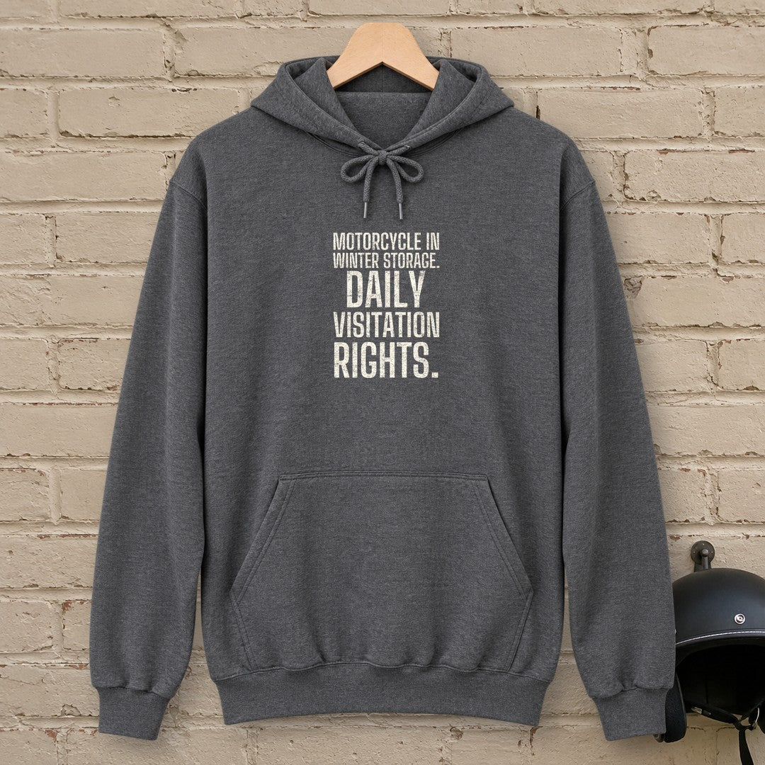Daily Visitation Rights Hoodie - Dark Heather - brick