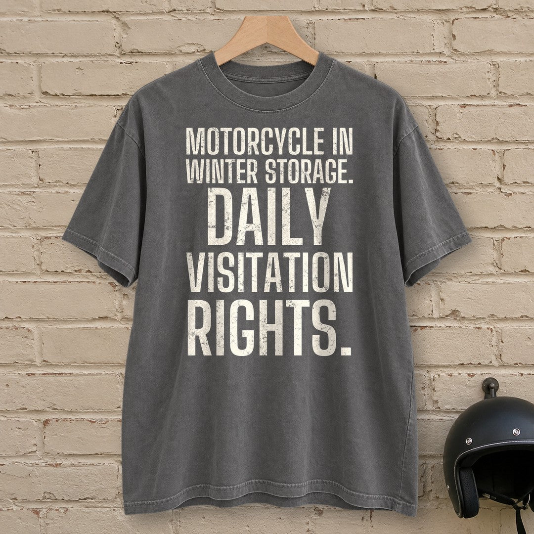 Daily Visitation Rights Premium T-Shirt - Pepper - brick